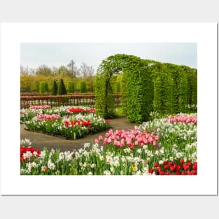 Keukenhof Tulip Festival, Holland Posters and Art